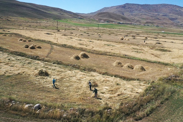 Foto - Çiftçilerin soğuk havaya karşı yarışı 