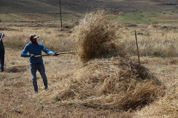 Foto - Çiftçilerin soğuk havaya karşı yarışı 