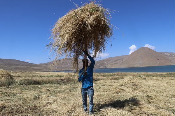 Foto - Çiftçilerin soğuk havaya karşı yarışı 