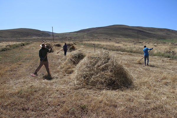 Foto - Çiftçilerin soğuk havaya karşı yarışı 