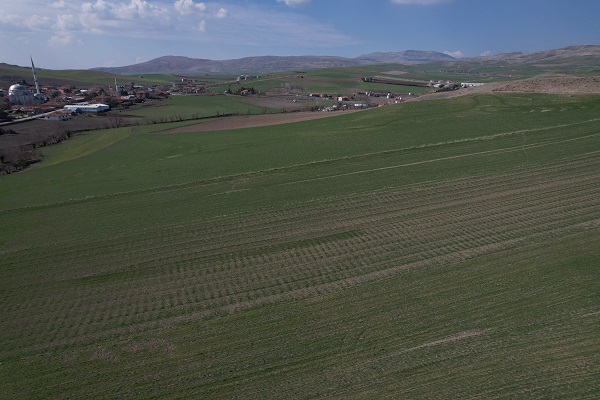 Foto - Çiftçilerin umudu nisan ayı! 