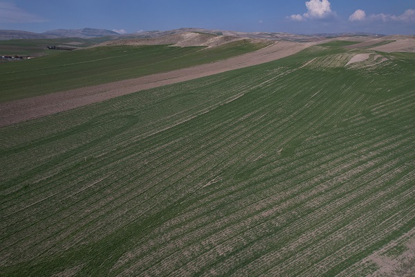 Foto - Çiftçilerin umudu nisan ayı! 