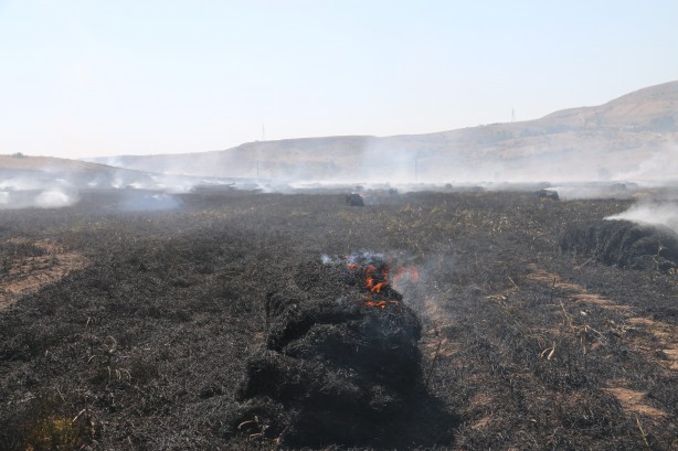 Çiftçinin umudu kül oldu