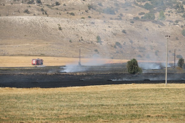 Foto - Çiftçinin umudu kül oldu