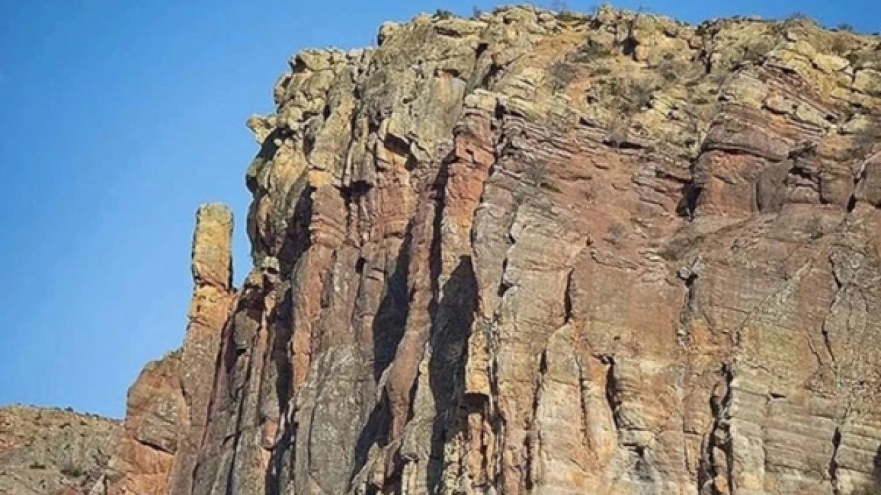 Foto - Çiftçinin yaptığı keşif ülkede gündem oldu! Yüzde 95 saf çıktı!