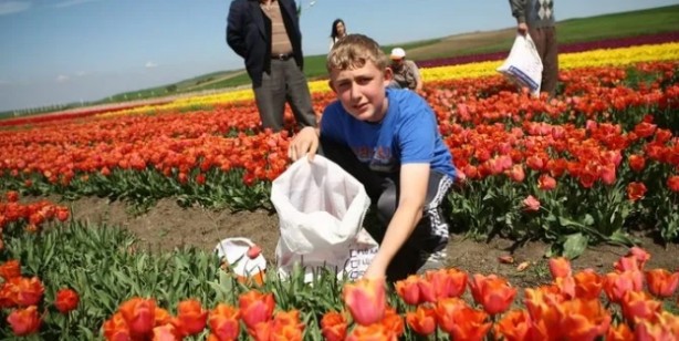 Foto - Çiftçinin yaptığı şok etti! Bir koydu iki aldı