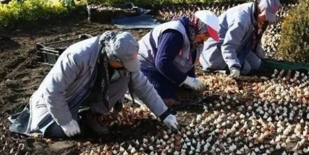 Çiftçinin yaptığı şok etti! Bir koydu iki aldı
