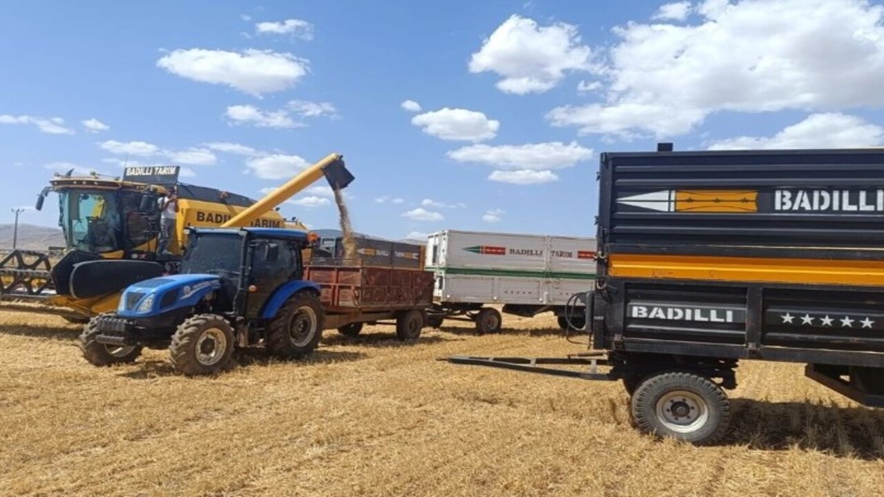 Foto - Çiftçiye altın hediye edildi! Susuz tarlada ilk hasat yapıldı