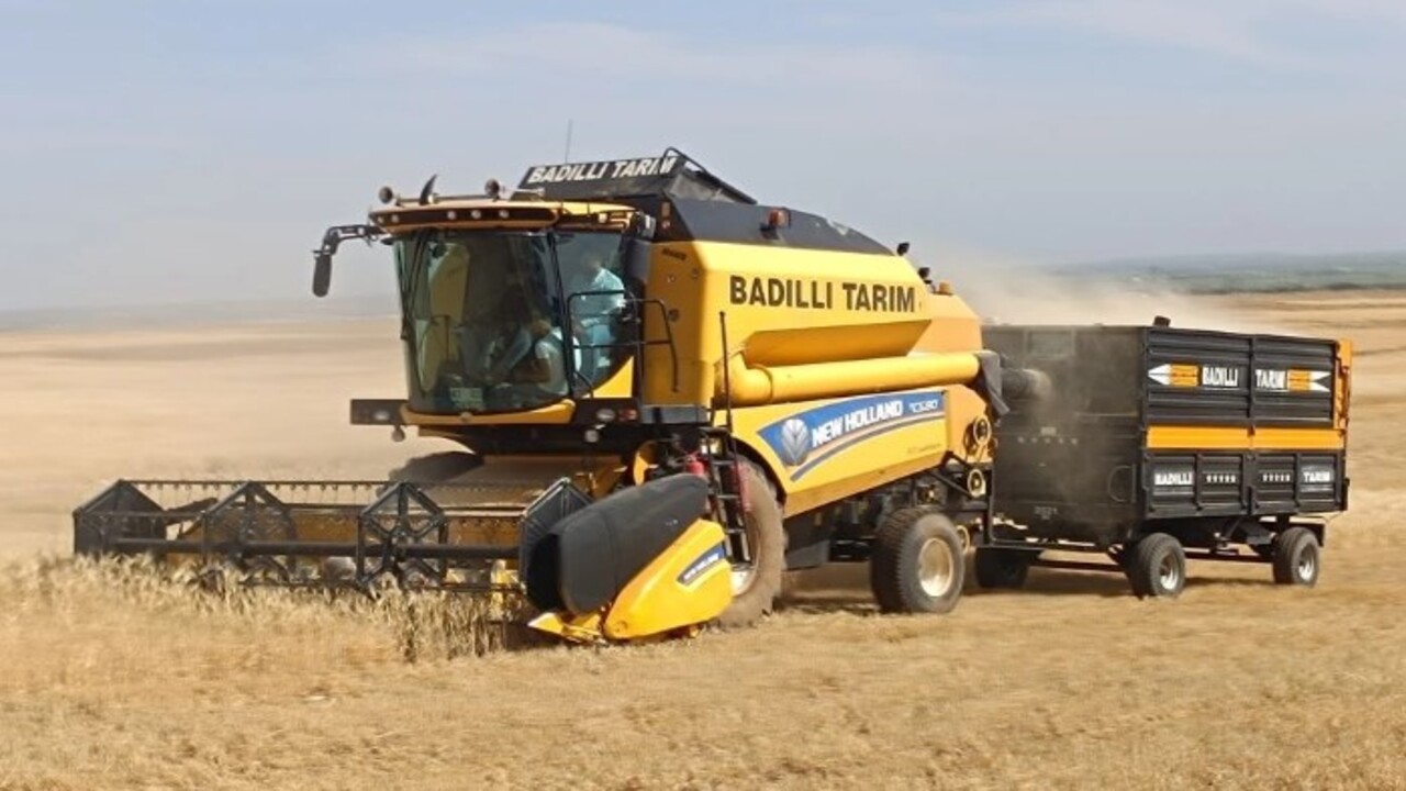 Çiftçiye altın hediye edildi! Susuz tarlada ilk hasat yapıldı