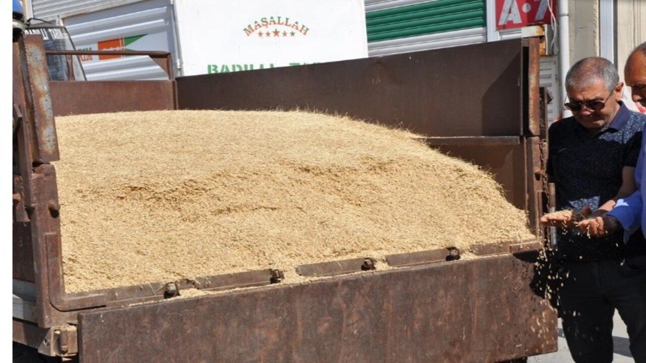 Foto - Çiftçiye altın hediye edildi! Susuz tarlada ilk hasat yapıldı