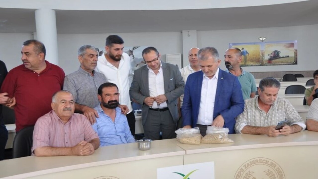 Foto - Çiftçiye altın hediye edildi! Susuz tarlada ilk hasat yapıldı