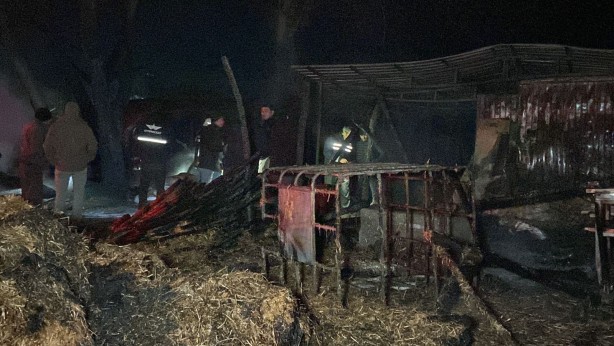 Çiftlik alev alev yandı! Hayvanlar son anda kurtarıldı