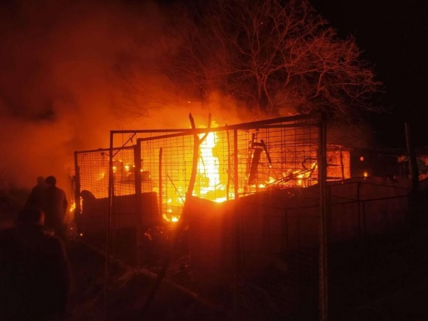 Foto - Çiftlik alev alev yandı! Hayvanlar son anda kurtarıldı