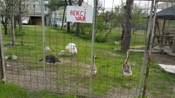 Foto - Çiftlik Bank davasında 34 araca el konuldu