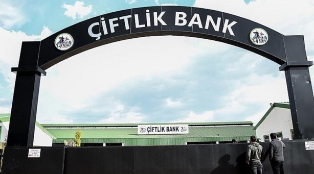 Çiftlik Bank Mehmet Aydın'a bir darbe de eşi Sıla Aydın'dan geldi