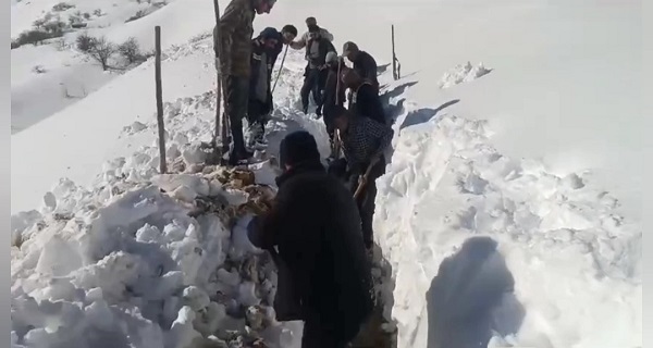 Foto - Çığ düşünce 3 gün susuz kaldılar