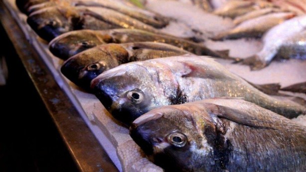 Foto - Çiğ yenmemesi gereken 10 besin