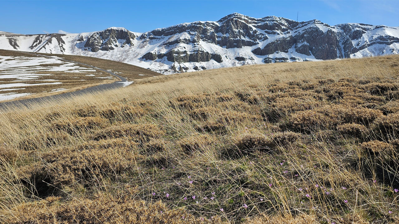 Foto - Çiğdemlerin dansı başladı! Nemrut’ta bahar kartpostala döndü
