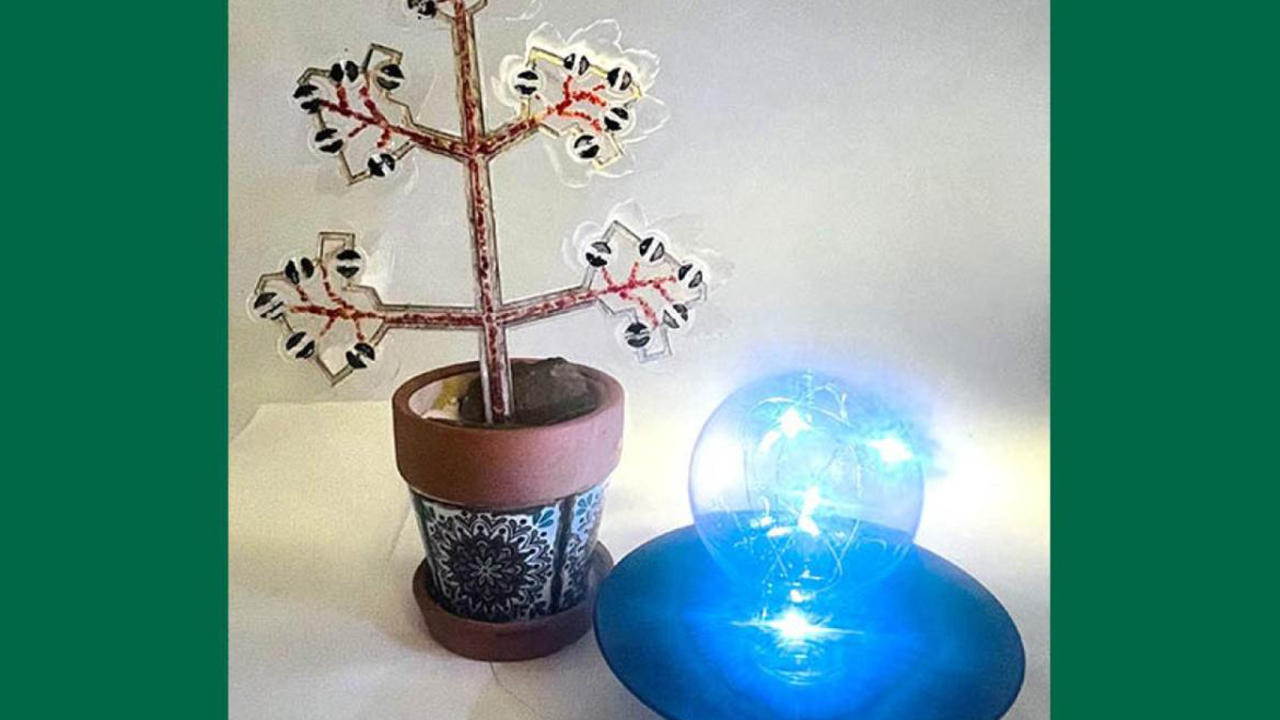 Foto - Çığır açacak buluş! Yüksek elektrik faturalarına artık son: Elektrik üreten bitki keşfedildi