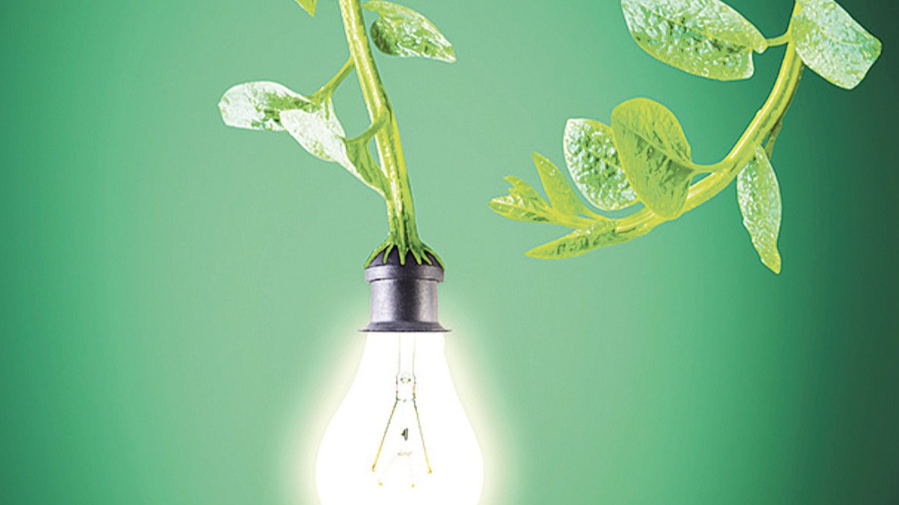 Foto - Çığır açacak buluş! Yüksek elektrik faturalarına artık son: Elektrik üreten bitki keşfedildi