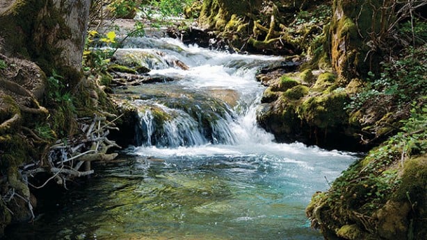 Foto - Cihat Yaycı'dan çok kritik İsrail uyarısı: Kuduz köpek gibi saldıracaklar, yeni hedefleri o