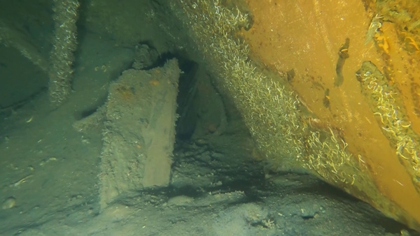 Foto - Çıkarılmazsa çok büyük risk! Denizin dibinde bir sanayi kompleksi