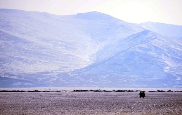 Foto - Çıldır Gölü üzerinde turistlerin atlı kızak keyfi