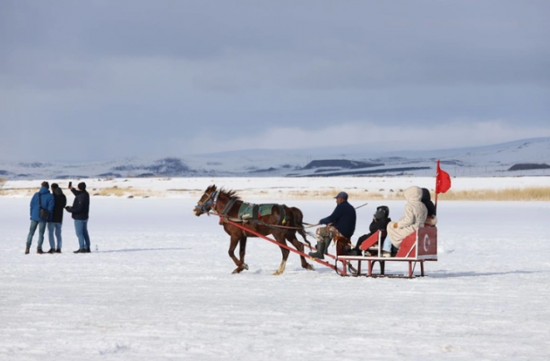 Foto - Çıldır Gölünde güzel şeyler oluyor