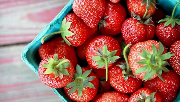 Foto - Çileğin yaprağını ıslatarak bekletin...