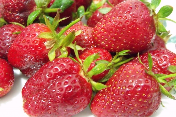 Foto - Çileğin yaprağını ıslatarak bekletin...