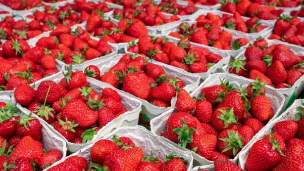 Foto - Çilek 572 liradan satılmaya başlandı! Hadi Sol medya bunu yazın