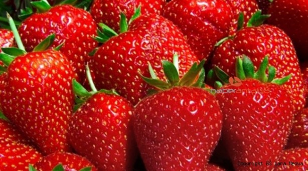 Foto - Çilek nasıl temizlenir? Çilek nasıl yıkanır?