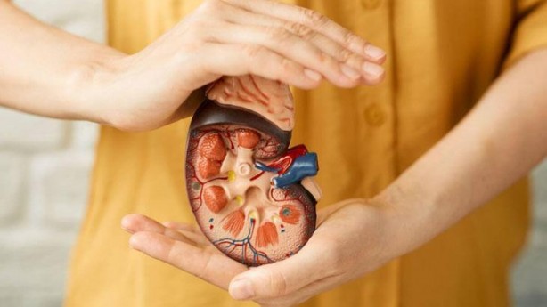 Foto - 'Çilek yaprağı yenir mi' demeyin! Zehirli değilmiş, böbrek taşlarını tek tek atıyor