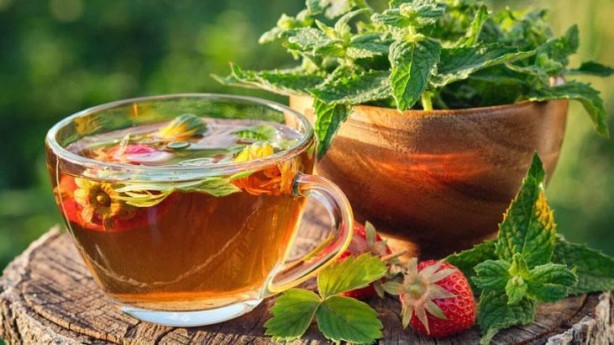 Foto - 'Çilek yaprağı yenir mi' demeyin! Zehirli değilmiş, böbrek taşlarını tek tek atıyor