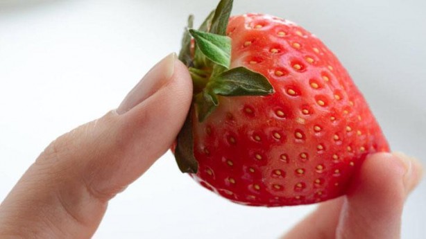 Foto - 'Çilek yaprağı yenir mi' demeyin! Zehirli değilmiş, böbrek taşlarını tek tek atıyor