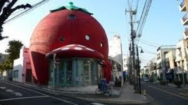 Foto - Çılgın mimardan çılgın fikir