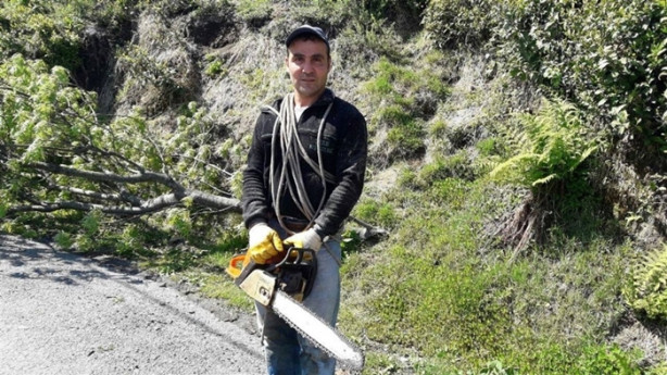 Çılgın Rizeli! 70 metrelik ağaçlara tırmanıp...