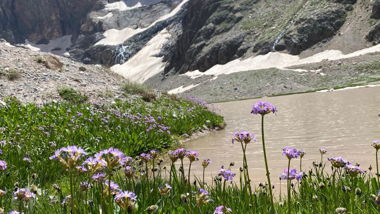 Cilo Dağı’nda alarm! Türkiye'nin zirvesindeki buzullar eriyor