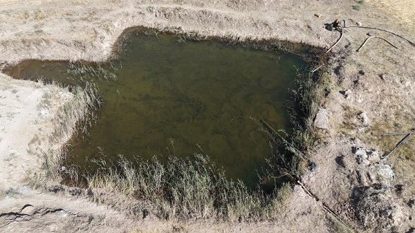 Foto - Cilt hastalıklarına birebir! O göl bu sene sessizliğe büründü