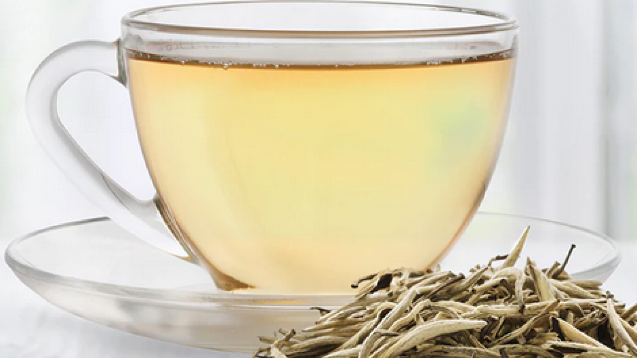 Cilt sağlığından bağışıklığa... Beyaz çay nedir, beyaz çay neye iyi gelir?