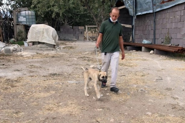 Foto - CİMER'den istedi! Devlet ayağına kadar getirdi
