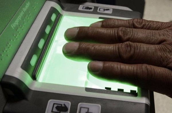 Foto - Cimrilikleri onları zengin yaptı! Yaptıklarına çok şaşıracaksınız!