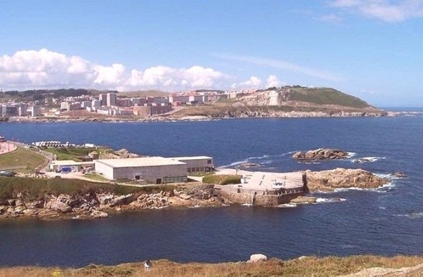 Foto - Cimrilikleri onları zengin yaptı! Yaptıklarına çok şaşıracaksınız!