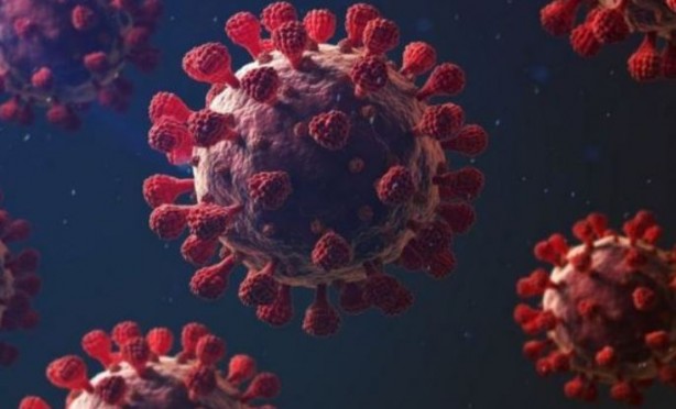 Foto - Çin en derin okyanus çukurunda virüs keşfetti