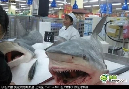 Foto - Çin marketlerindeki sıra dışı ürünler