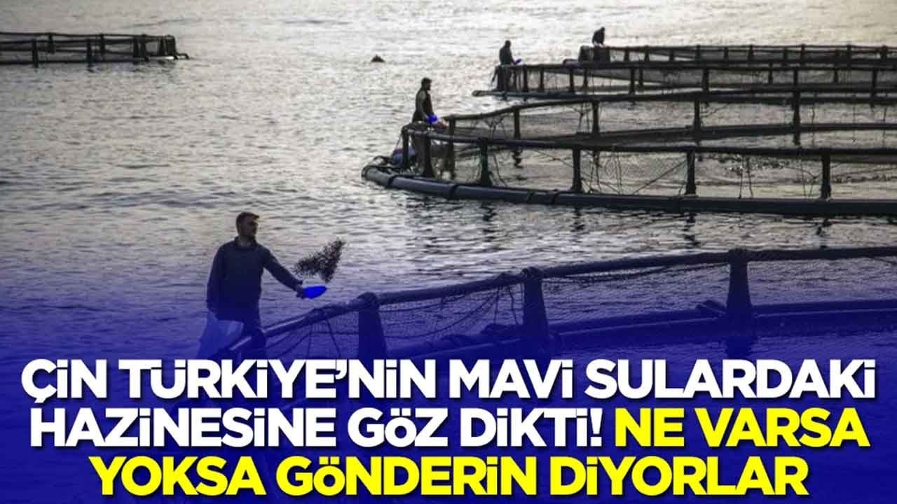 Çin, Türkiye'nin mavi sulardaki hazinesine göz dikti: Ne var ne yok istiyorlar