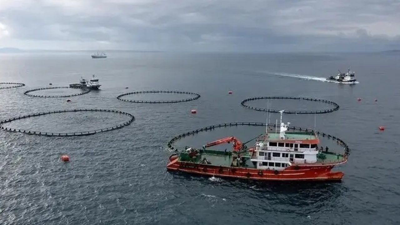 Foto - Çin, Türkiye'nin mavi sulardaki hazinesine göz dikti: Ne var ne yok istiyorlar