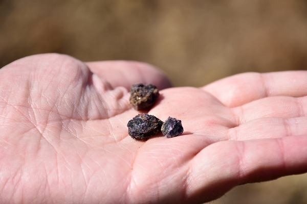 Foto - Çin ve ABD bunun peşine düştü... Türkiye'de 694 milyonluk tonluk dev keşif