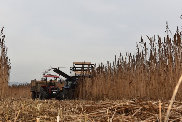 Foto - Çin, Amerikan ve Alman devleri Türkiye'ye ondan almaya geldi! Kastamonu'na resmen kamp kurdular