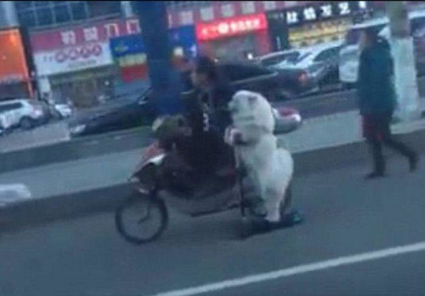 Foto - Çin yollarından sıra dışı manzaralar